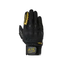 king-moto202606010703041869253