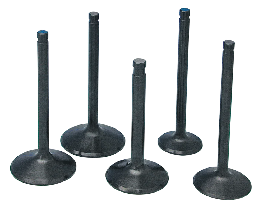 ofc-shop202606020745572019287